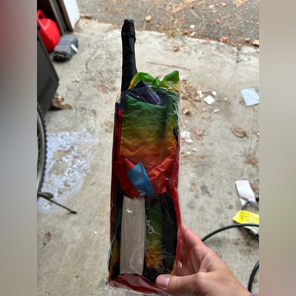 Kite - Picture 3 of 3